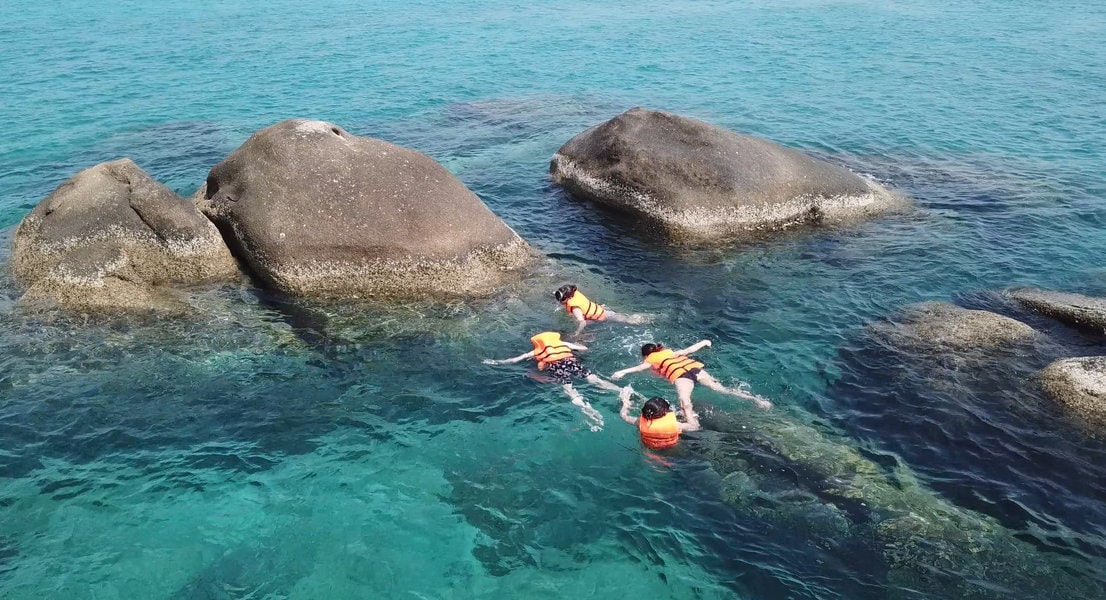 Lặn ngắm san hô ở Cù Lao Câu 